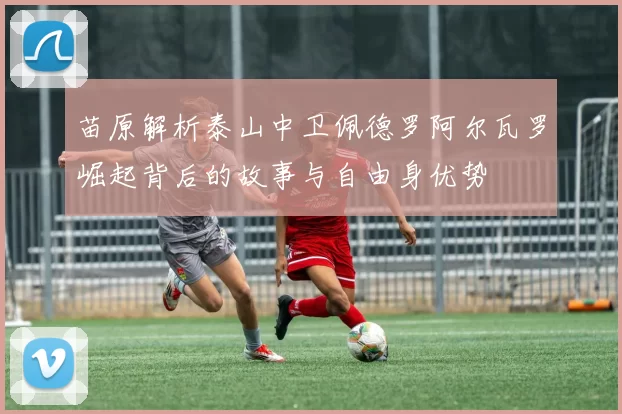 苗原解析泰山中卫佩德罗阿尔瓦罗崛起背后的故事与自由身优势